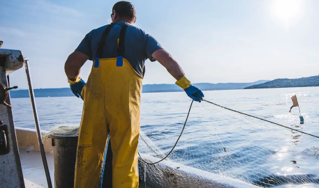 Exceptional seafood sourcing - Fresh sustainable fish delivery Sea Story